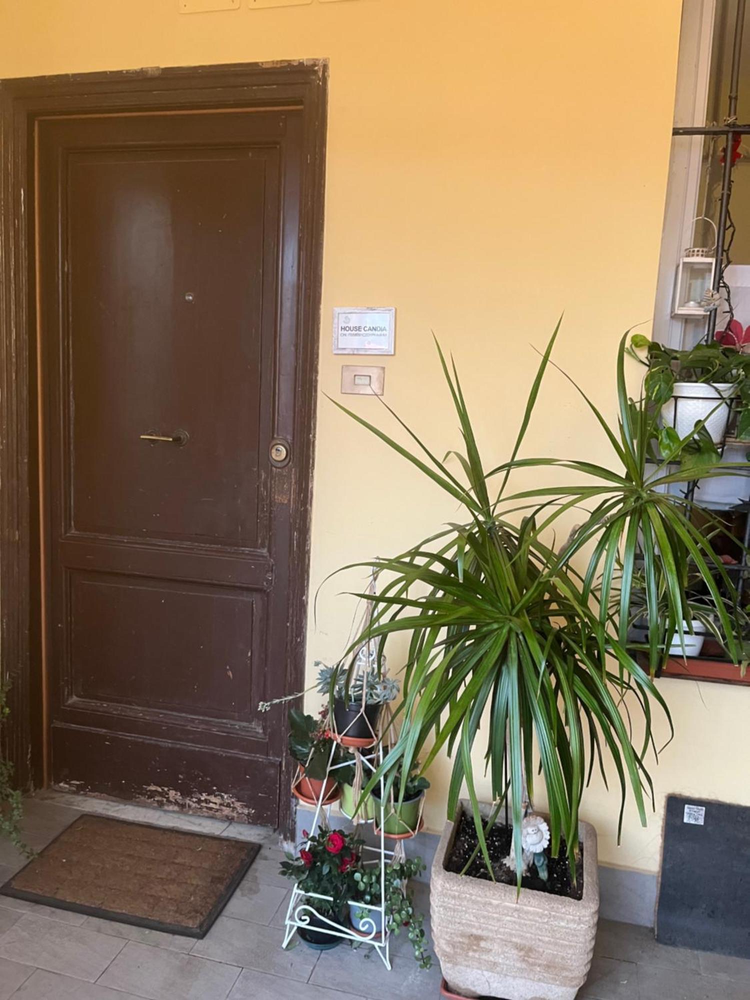 House Candia 111 - Vatican Museum Apartment 罗马 外观 照片